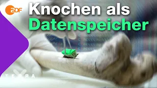 Was die Wissenschaft aus Knochen liest | Terra X plus