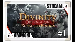 Divinity: Original Sin [Следопыт] Прохождение с озвучкой #1