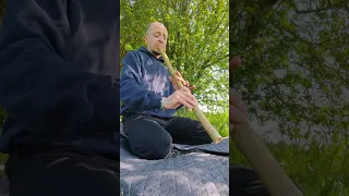 Like an empty bamboo 🎋🌀 Zen Shakuhachi flute improvisation