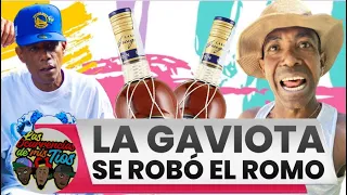 La gaviota le rob* el Romo a tío rada, Día a día con las ocurrencias.🤣🤣🤣🤣