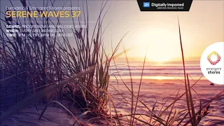 Lumidelic Pres. Serene Waves 37 [Jul 2020]