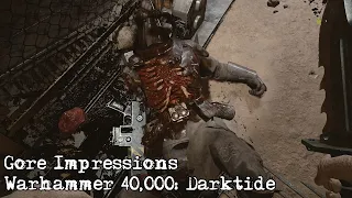 Gore Impressions: Warhammer 40,000: Darktide