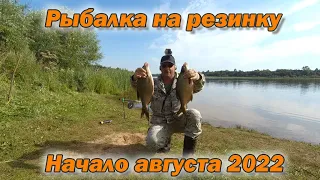 Рыбалка на резинку  Начало августа 2022