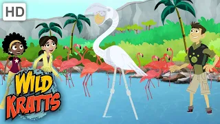 Wild Kratts | Flamingo Creature Power Suit |BIRDS