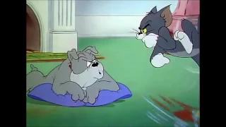 Tom And Jerry 14 English Episodes   Quiet Please!    Cartoons For Kids