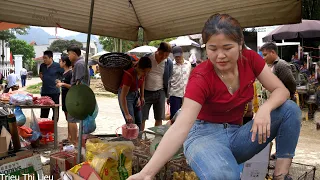 Boy and girl go to the market to buy chicks/make a bamboo coop, farm life