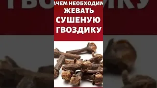 Зачем жевать сушёную гвоздику? #гвоздика #сибирскоездоровье #siberianwellness #продуктыдляздоровья