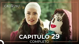 Calikusu 29 Capítulo