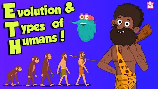 What Is Evolution & types of HUMANS | Dr Binocs Show | Peekaboo Kidz