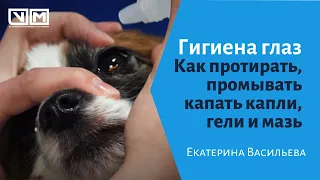 Гигиена глаз. Как протирать и промывать глаза, как капать капли, гели и мазь