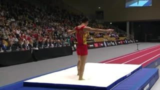 2015 Male Tumbling World Championships Finals