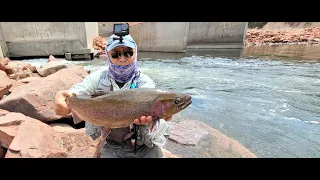 Epic Day Again, Fly Fishing the Fryingpan River River Colorado