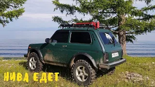 Нива едет. Offroad на Comforser Thruster 31/10,5/16.