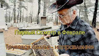 Пасека# 151 Первый Осмотр в Феврале  Исправление Трутовой Семьи Пчеловодство