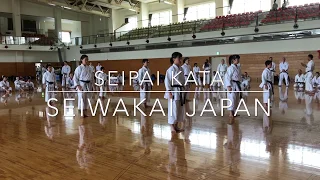 Kata Seipai - Cadets & Juniors, Seiwakai Japan 2017