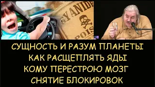 ✅ Н.Левашов: Есть ли сущность у планеты. О расщеплении ядов. Кому перестрою мозг. Снятие блокировок