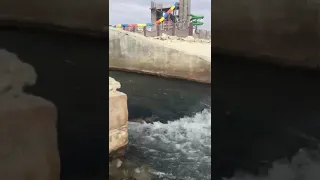 Вода в районе Солдатского пляжа