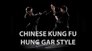 Chinese Kung Fu - Hung Gar style (External Technique) (2005)