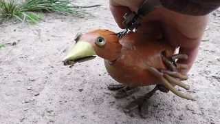 Dabchick ~6~ How To Please A Chick