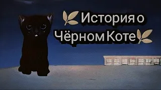 Кто такой ЧЁРНЫЙ КОТ и что ОН делает в Cute Cat And Puppy World??? Автор: хХСвЯтОеХх