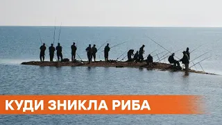 Пошла к российским берегам. Почему в Азовском море исчезает рыба