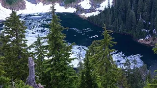 Alberta Sasquatch on Video in Jasper Canada