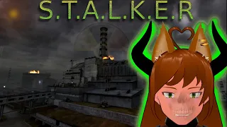 Vtuber Playes-S.T.A.L.K.E.R.: Clear sky-part 8: Duty?