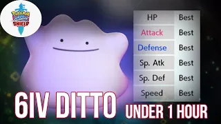 6 IV Ditto | Catch in an Hour | Pokemon Sword and Shield Guide |