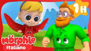 Chi arriva primo? | Cartoni Animati per Bambini | Morphle Italiano