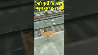 Train accident with Dog #trainaccidentlive#viral #shorts #funny#comedyvideo#Rinku_Gupta_Shorts