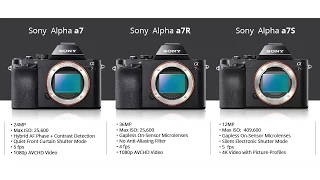 Какой фотоаппарат Sony выбрать? Sony A7, A7S, A7R