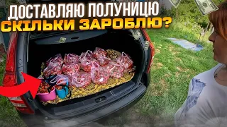 Хороша ціна на полуницю! Пригодницька доставка полуниці 🍓 Бізнес в селі на полуниці 🍓