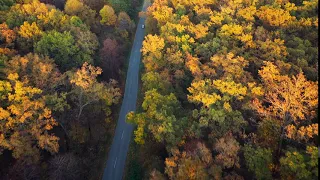 car driving through autumn forest road scenic autumn landscape