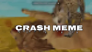 Crash | Wildcraft Meme | Desc