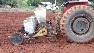 MF 292 turbo plantando milho Pioneer 30f35 com plantadeira Baldan 4 linhas