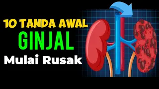 10 TANDA GINJAL KURANG SEHAT !! - Mulai Lelah Hingga Sulit Tidur .