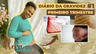🎯Diário da gravidez #1  Primeiro trimestre de Gestação | Sintomas, quanto engordei - Wera Barbosa