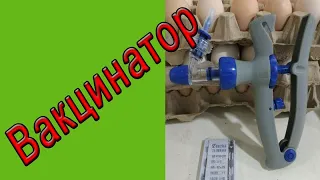 Вакцинатор для птицы | Шприц пистолет для инъекций