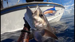 Spearfishing 2022 Raiatea XIII