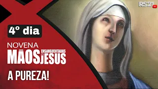 Novena das Mãos Ensanguentadas de Jesus - 4º A Pureza - 28/12/2022