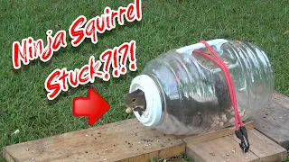 Squirrel Science - How small of a hole can Ninja squirrel squeeze through???  Squirrel Shenanigans!