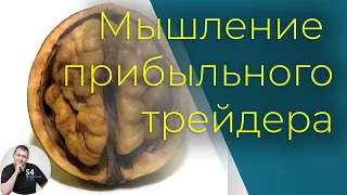 Правила прибыльного трейдера | Торговая психология | Почему большинство теряет деньги на бирже?