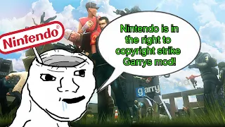 Nintendo fanboy CELEBRATES nintendo striking Garrys mod