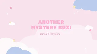 ANOTHER MYSTERY BOX! | Bunnie’s Playroom