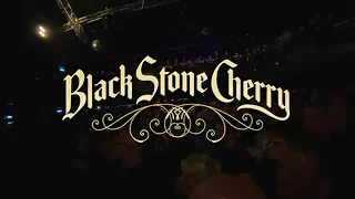 Black Stone Cherry - Me and Mary Jane live at Rock City