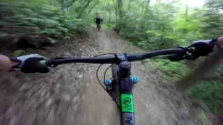 Bracken Mountain, Brevard NC