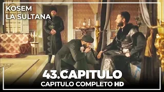 Kosem La Sultana | Capítulo 43