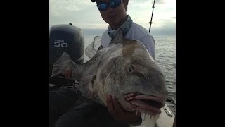 Mayport Giant Drum Fishing