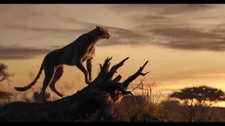 THE LION KING TRAILER (2019)