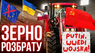 Польща проти українського зерна: хто винуватий у кризі на кордоні? Розбір ситуації
